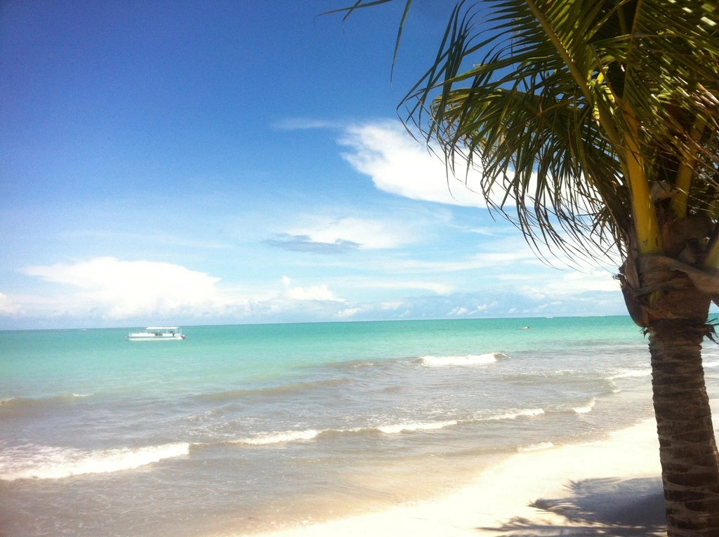 A tropical beach with turquoise water and white sand framed by palm fronds