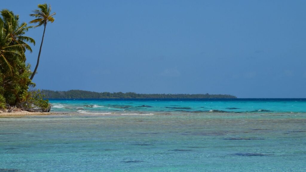 A tropical beach with palm trees and clear turquoise water